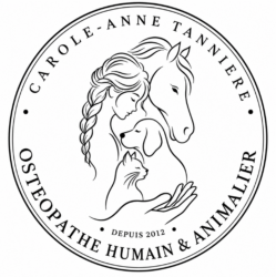 Humanostéo